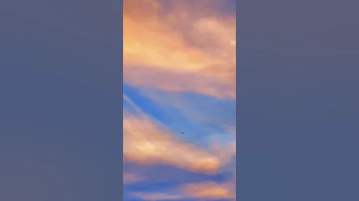 佛家的最高境界是无我；道家的最高境界是无为；儒家的最高境界是无恶；爱情的最高境界是无怨；处世的最高境界是无名；幸福的最高境界是无求；人生的最高境界是无欲。#shorts #旅行大玩家 #治愈系风景 - 天天要闻