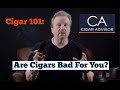 Cigar advisor  are cigars bad for you cigar 101