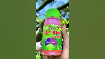 HẾT RỤNG TRÁI NGAY LẬP TỨC