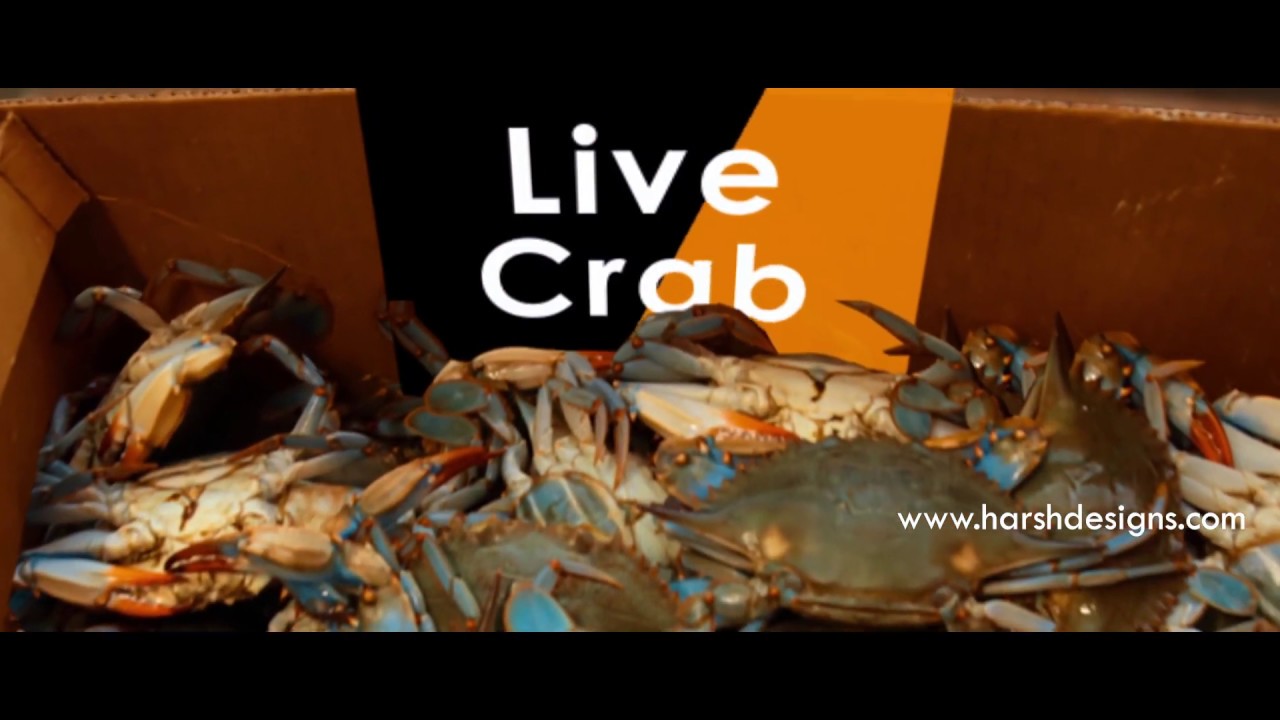 [Harsh Designs] Supermarket Promotional Advertisement | USA