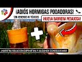 ¡ADIÓS HORMIGAS PODADORAS Y SIN usar TÓXICOS! 🐜 BARRERA PEGAJOSA ANTI HORMIGAS 🌳 + TIPS