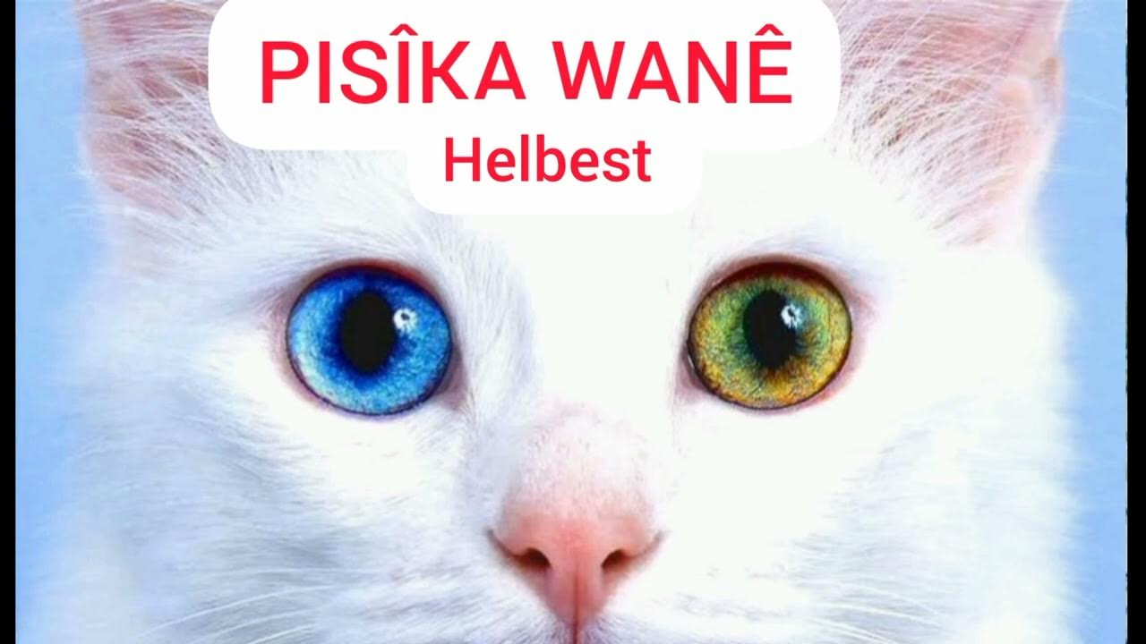 1 день глазами это. Дети с красивыми глазами. 1 день глазами это. Человек моргает. Всемирный день зрения.