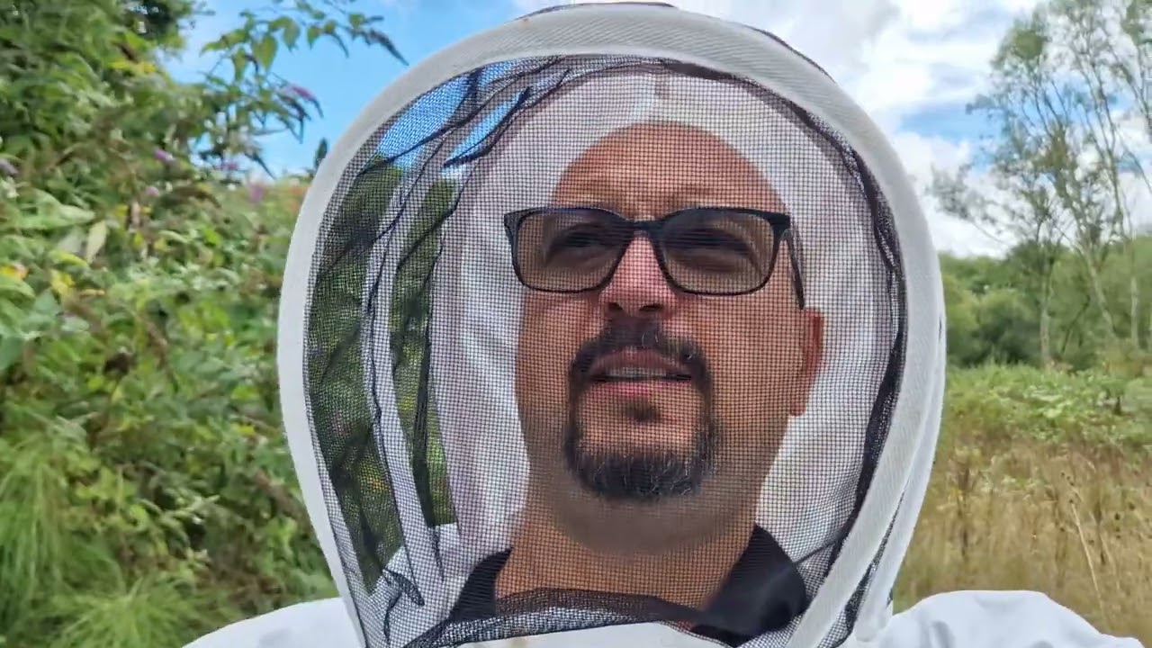 Почему я подкармливаю рои после сбора урожая, Дадант против МЕР