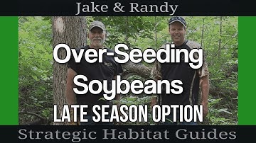 Over-Seeding Soybeans with Other Food Plot Seeds