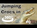 E7 - Jumping Crocs in 360 Degrees