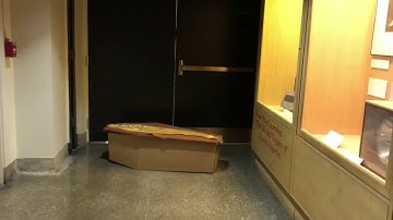 Human-Size Feels-Like Prototype