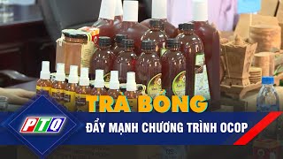 Top 19 tuyến xe buýt quảng ngãi trà bồng hot nhất, đừng bỏ qua