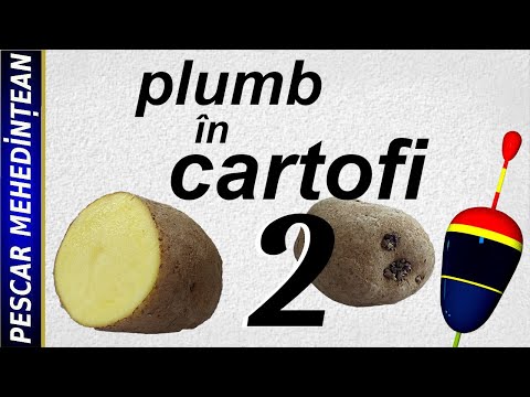 Video: Cum Se Câștigă Bani Pe Cartofi