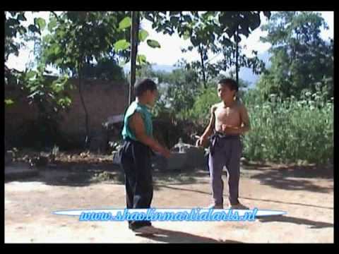 brother sparring