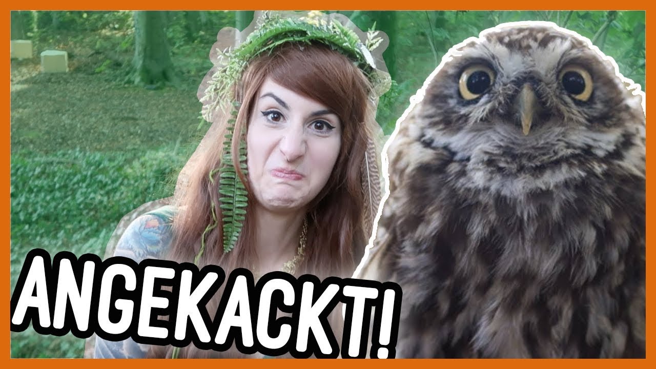 Von Eule angekackt I Kupferfuchs Vlog