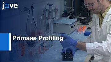 DNA Sequence Recognition by DNA Primase by Primase Profiling | Protocol Preview
