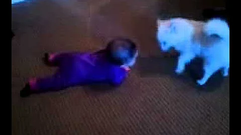 video-2010-12-21-09-12-42