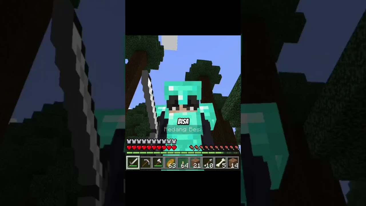 5 kesalahan player minecraft