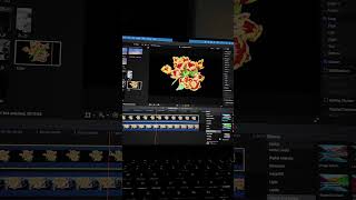 Final Cut Pro Magnetic Mask Tips