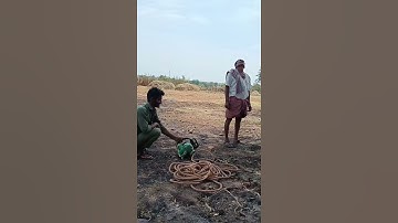 powe man life#hescom #electrical #bescom #kptcl #vlog