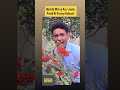 Mohibmirza with junkfood #viral #trending #funny #mohibmirza #junkfood #viralvideo #shorts #viralnow