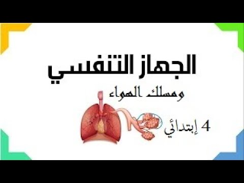 مادة التربية الثكنولوجية والعلمية مسلك الهواء في الجهاز التنفسي السنة الرابعة إبتدائي 3