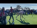 Brooks Koepka golf swing at the Farmers Insurance Open 2022