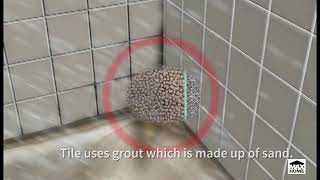 Pro Advice: Why does Mold Grow on Tile?