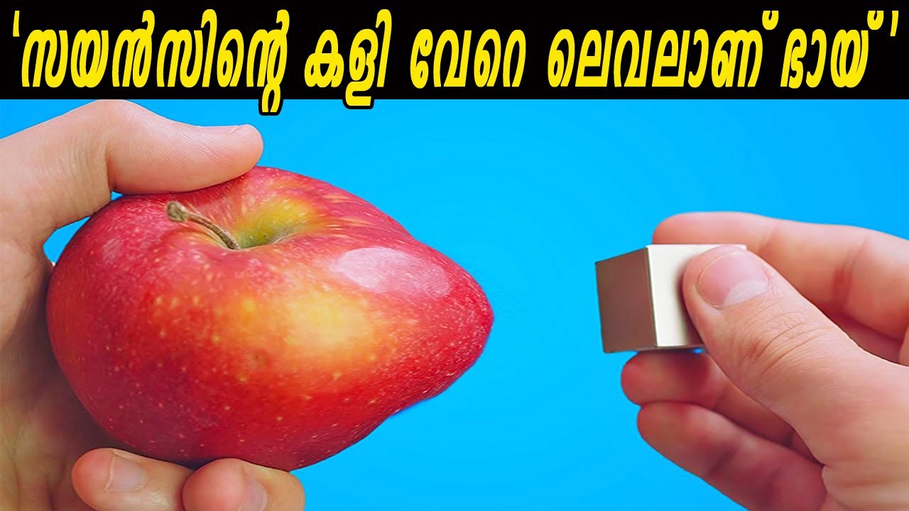 ആപ്പിളിനെ പോലും വെറുതെ വിടാത്ത കാന്തവും ഭാഗ്യം പറയുന്ന മീനും |ഈ വിചിത്ര വസ്തുക്കൾ കണ്ടിട്ടുണ്ടോ?
