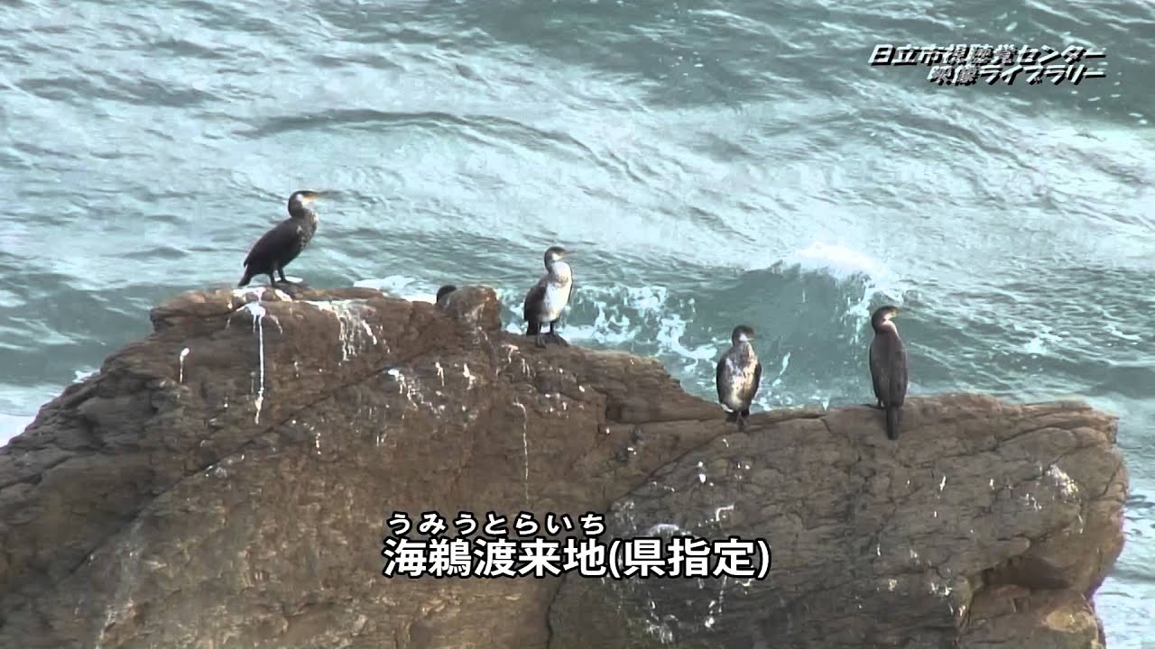 日立のふるさと再発見シリーズ「日立の文化財めぐり　第１部-北部編-」