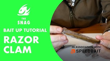 Razorclam bait up #fishing #fishingbait #seafishing #seafishinguk #seafishingvideo