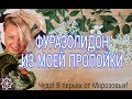 Фуразолидон для цыплят бройлеров