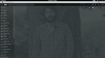What to expect when scanning in a new Plex music library with media with decent embedded metadata.