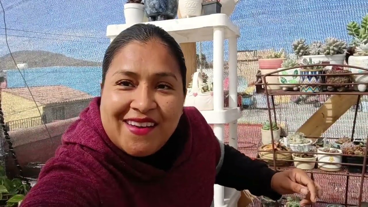 Suculentas nuevas + arreglo + revisión de avance 👌☺️