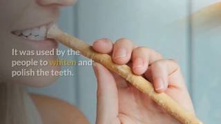 10 Scientifically Proved Benefits of Miswak | Miswak Tree