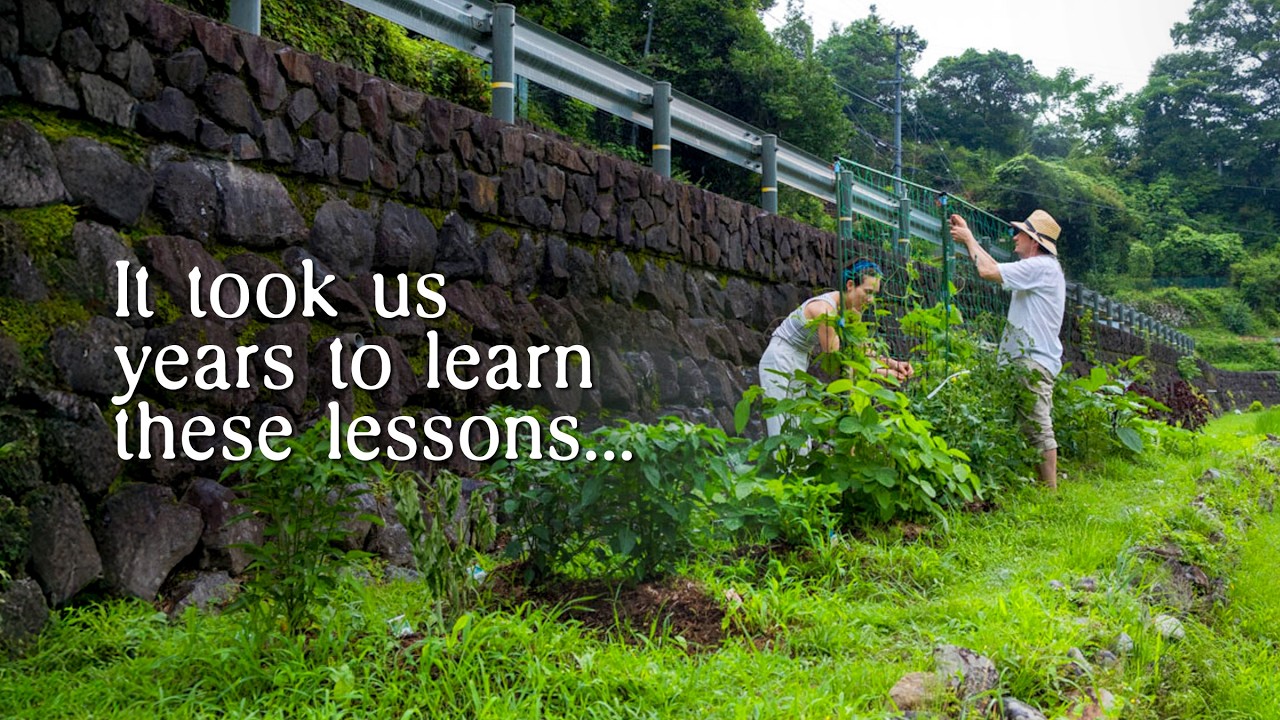 What Grew (and What Didn’t): A Summer of Learning in Our Japanese Countryside Garden🌱