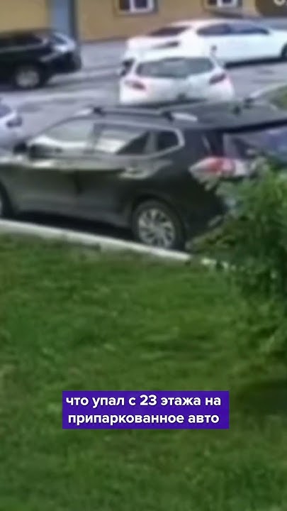 КОТ КОТОРЫЙ ХОТЕЛ ЛЕТАТЬ😹 - YouTube