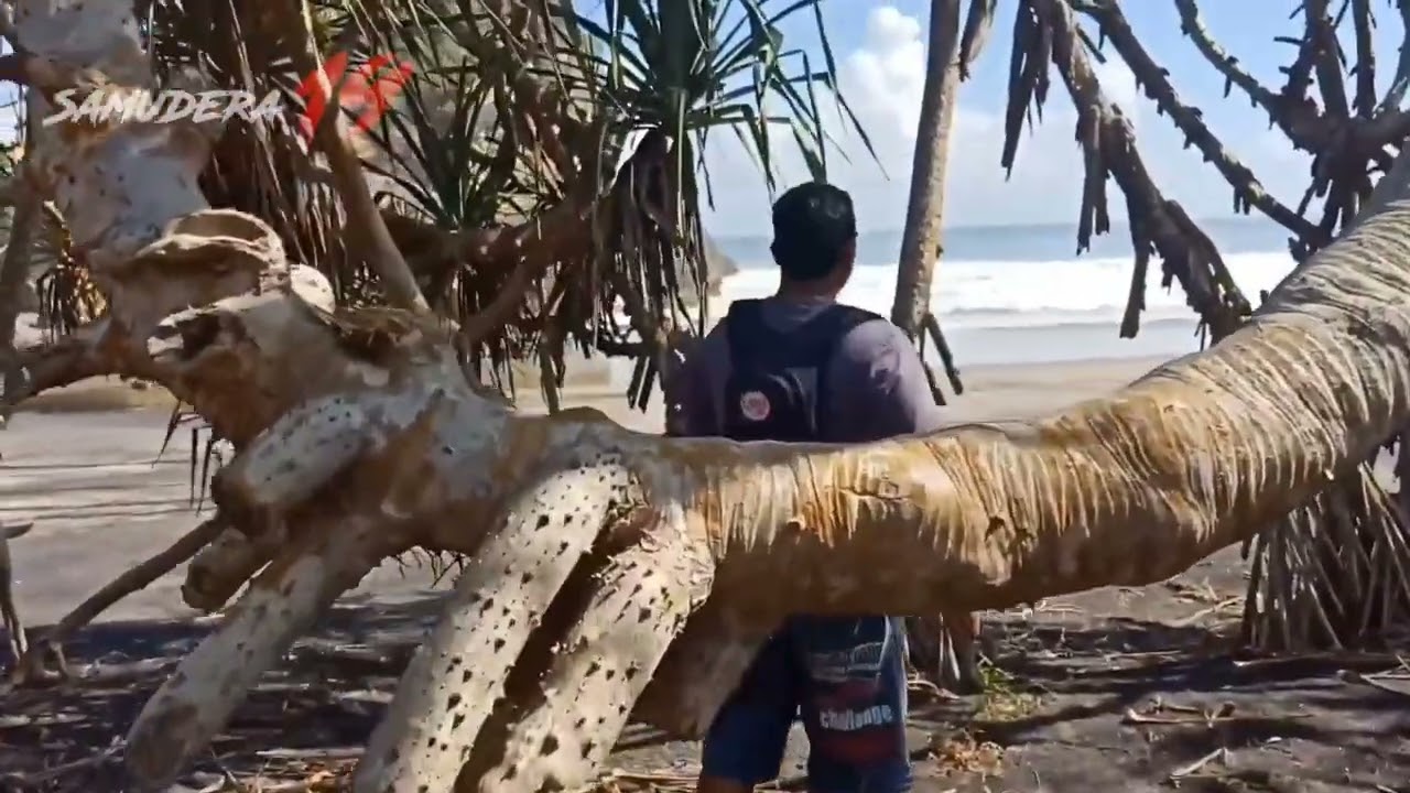 Ganasnya ombak pantai Baruna/malang selatan