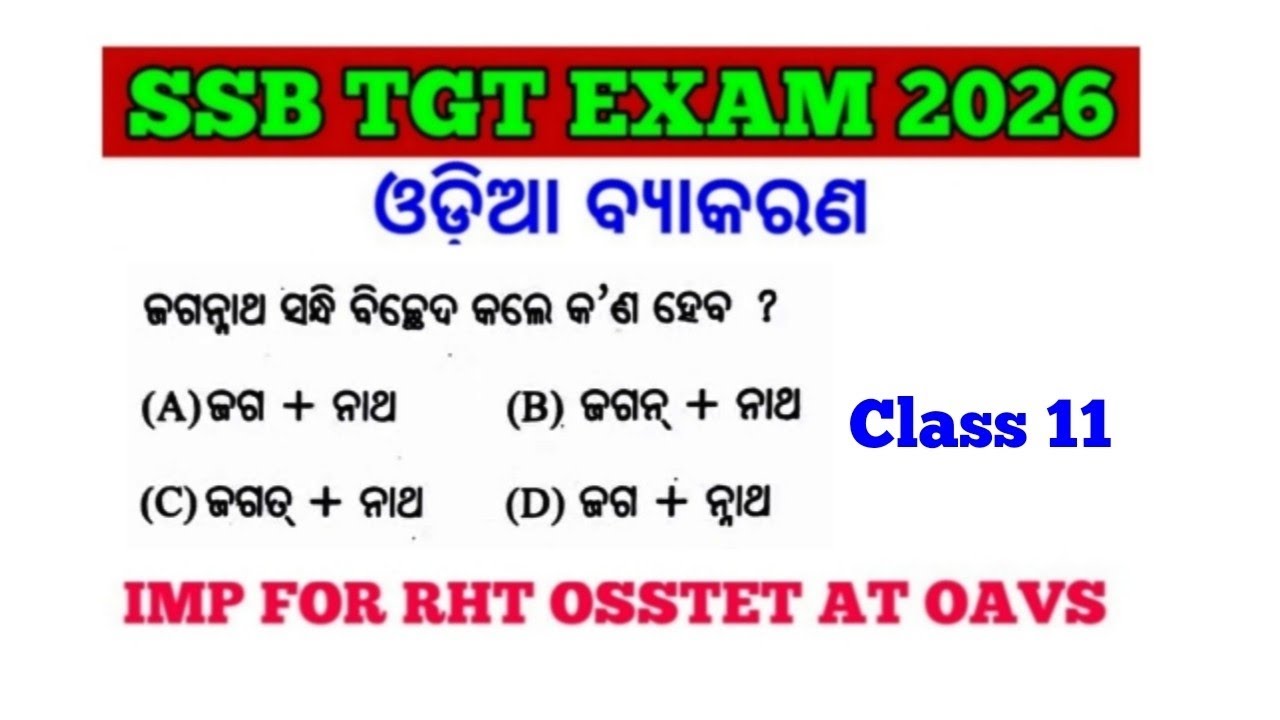 Target SSB TGT Exam 2026 !! Odia Grammar MCQs !! Imp for RHT AT OAVS !! cine tv Odisha !!