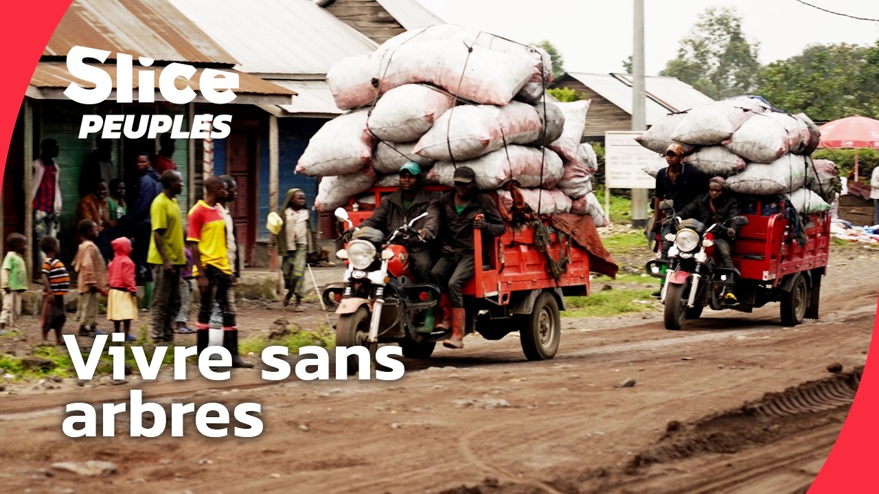 Vivre sans arbres ? Le combat des Batwa au Congo |  DOC ENTIER | SLICE PEUPLES