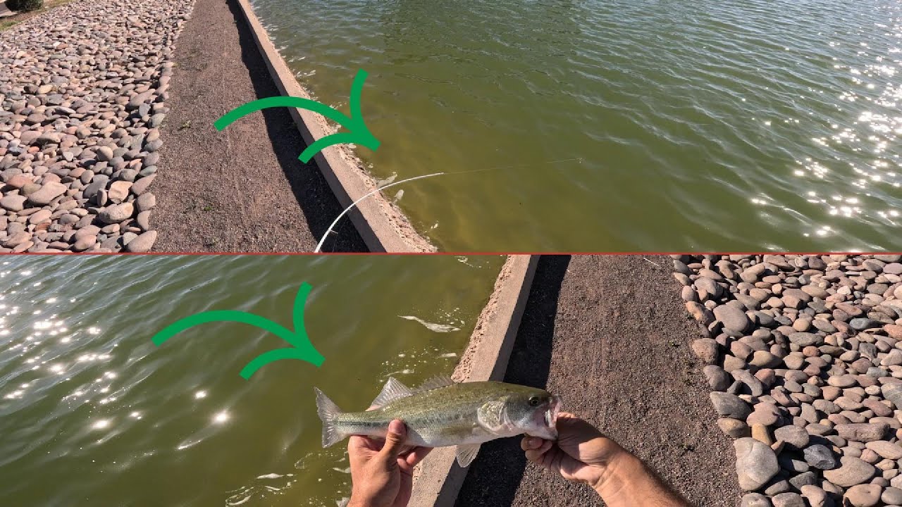 Jerkbait Bass Fishing(NEW ROD AND REEL!)