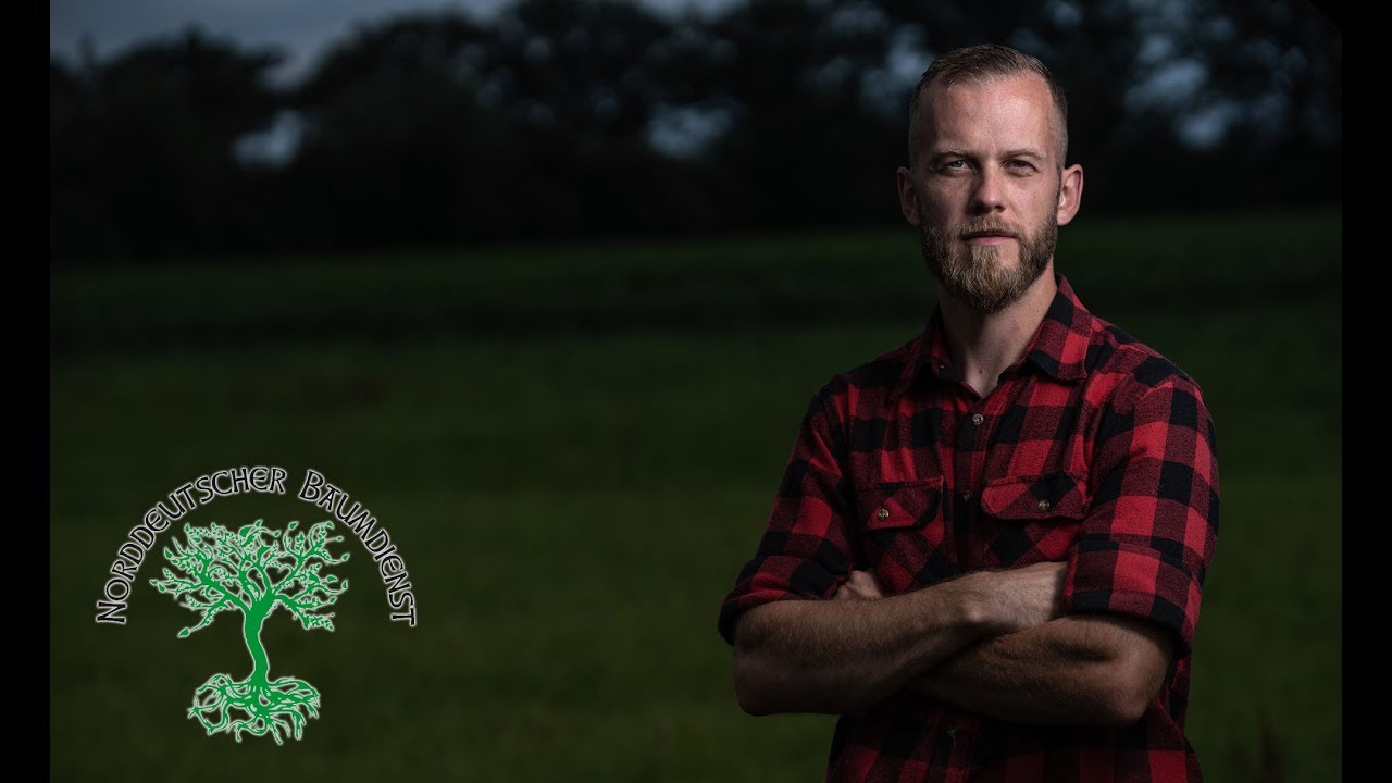 Ausrüstung für Hinterhof-Baumarbeiten - Hydraulik-Dumper MD500H