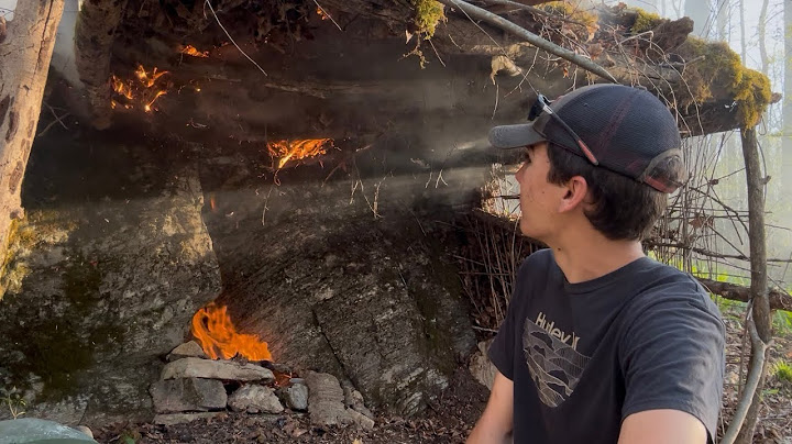 Overnighter and accidentally burning down my shelter#bushcraft #survival