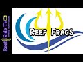 Reef frags visite virtuelle du reef store