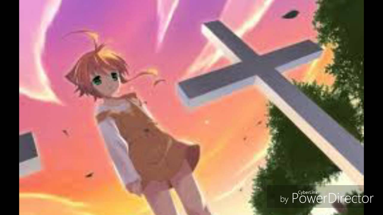 Assisst Wanko Hachi