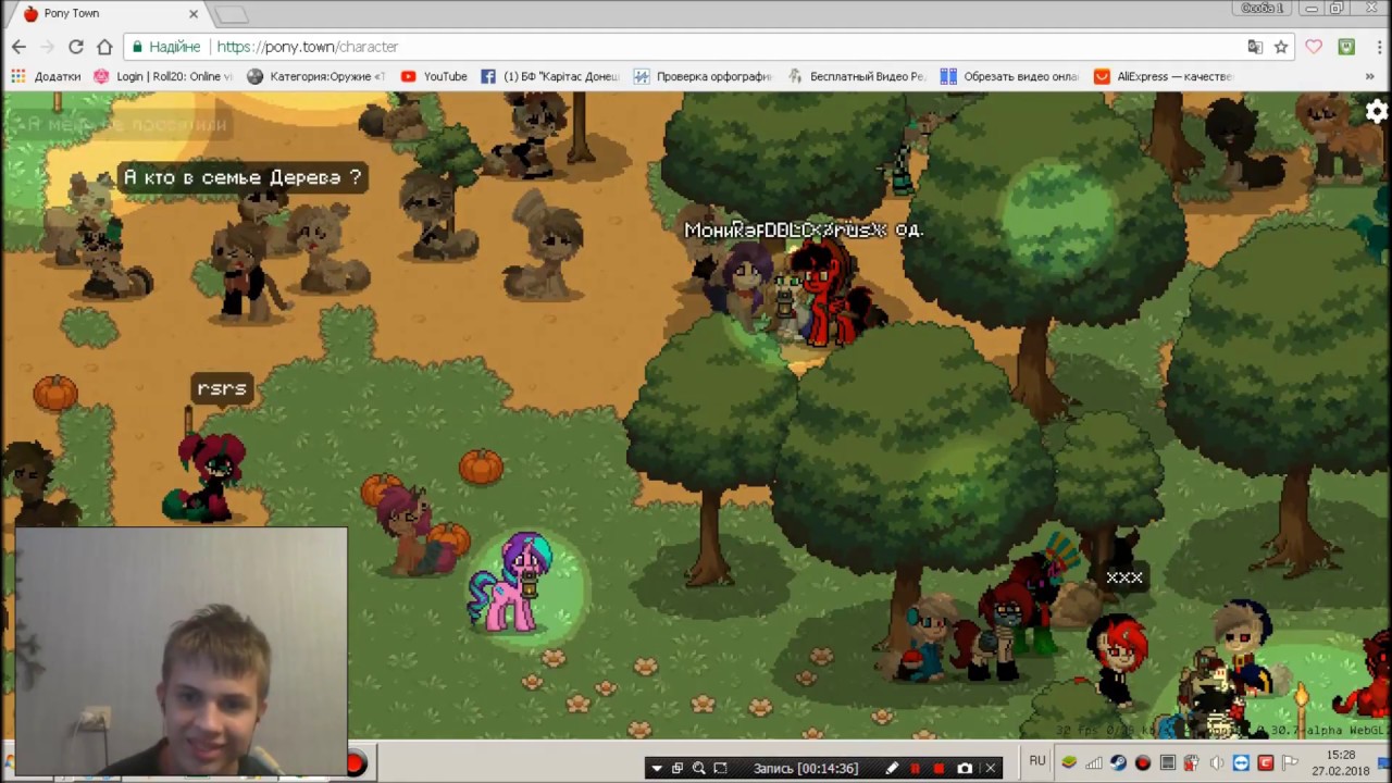 pony town faces guide pony town faces guide
