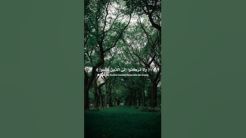 إن الحسنات يذهبن السيئات - من سورة هود