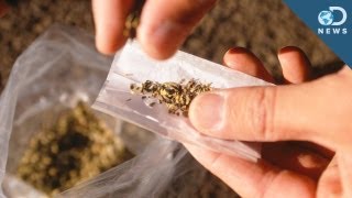 Celebrity What's The Deal With Synthetic Weed? Profile
