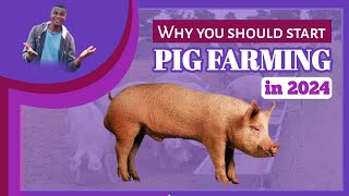 Why YOU should start Pig FARMING in 2024 by AniBusiness 2,640 views 4 months ago 18 minutes