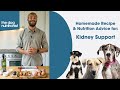 Kidney support  homemade dog food recipes by the dog nutritionist