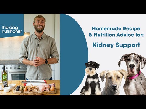 Kidney Support - Homemade Dog Food Recipes by The Dog Nutritionist