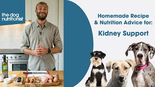 Kidney Support - Homemade Dog Food Recipes by The Dog Nutritionist