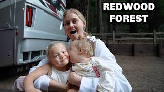 Taking our RV to the Redwood Forest + Donating Toys to the Ronald Mcdonald House - LAMBERT RV TOUR