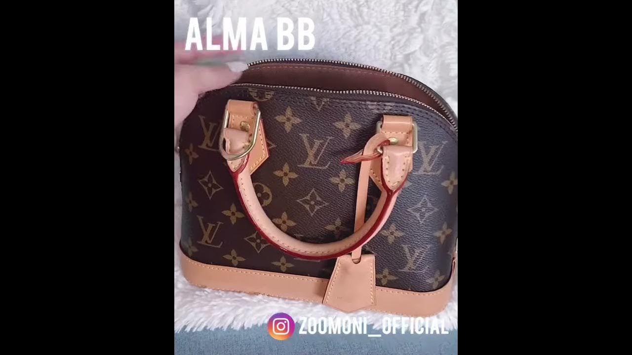 LOUIS VUITTON ALMA BB - What's In My Bag With Zoomoni Bag Insert