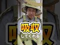 畳が10倍早くダメになる 畳 ライフハック 畳が10倍早くダメになる 畳 ライフハック
